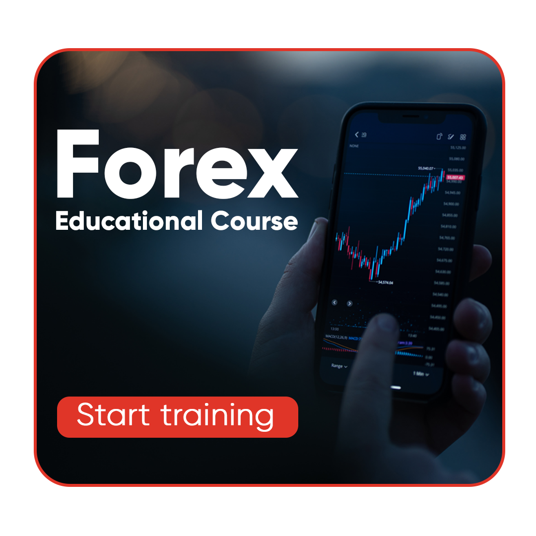 STP forex Education